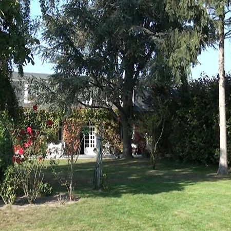 Le Petit Pont Hotel Moncé-en-Belin Eksteriør billede